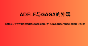 ADELE与GAGA的外观